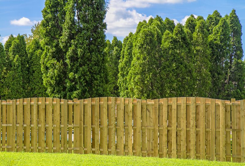 Modern Wooden Fence