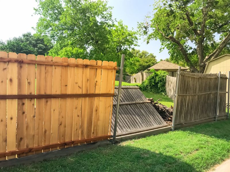 Fence Replacement