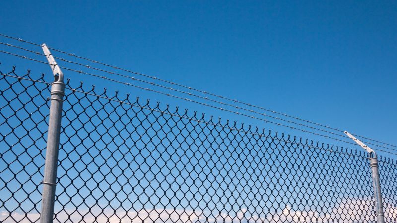 Wire Fencing Service